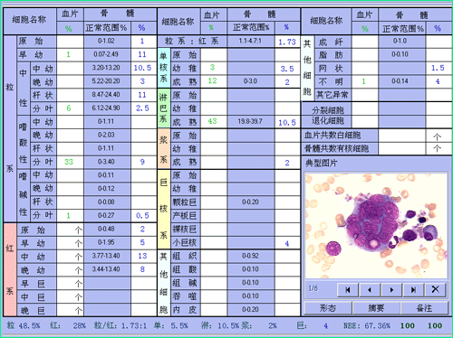 典型視野圖片採集 計數結果輸入及報告典型圖片設置