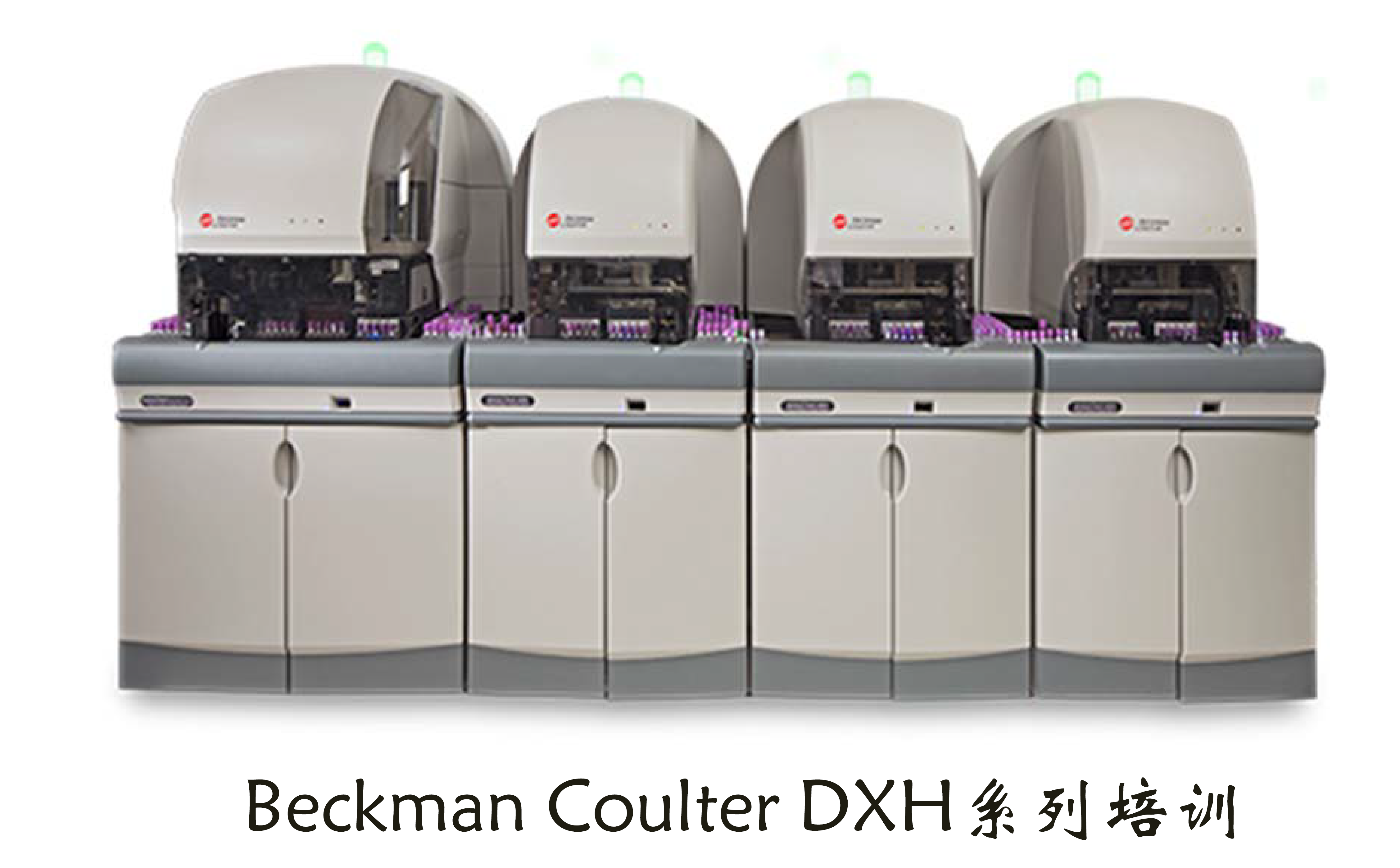 BeckmanCoulter DXH 系列培训-10-SMS推染机维修培训