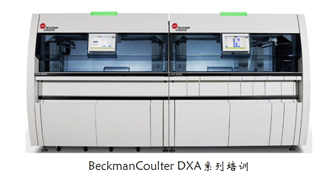  BeckmanCoulter DXA系列培训