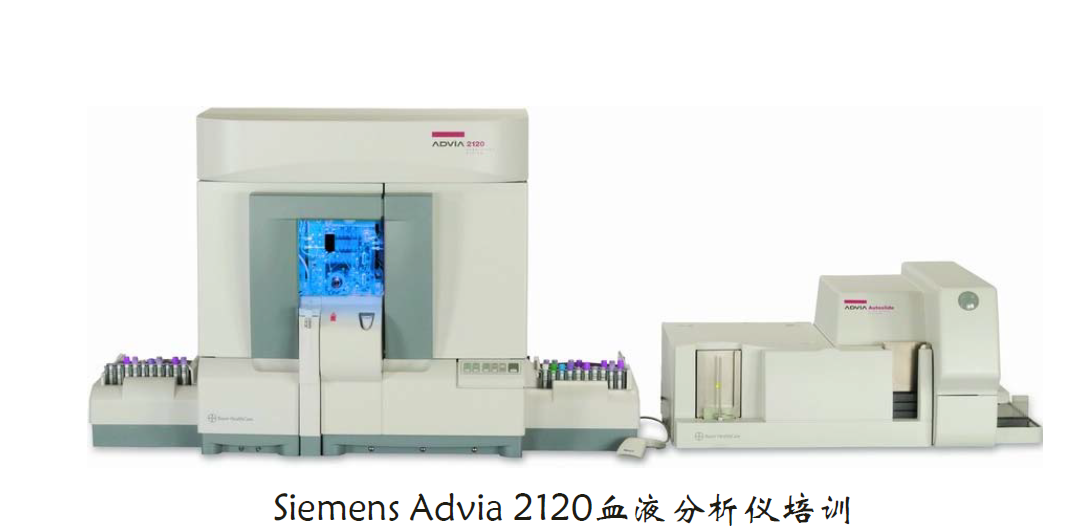 Siemens Advia2120血液分析仪培训